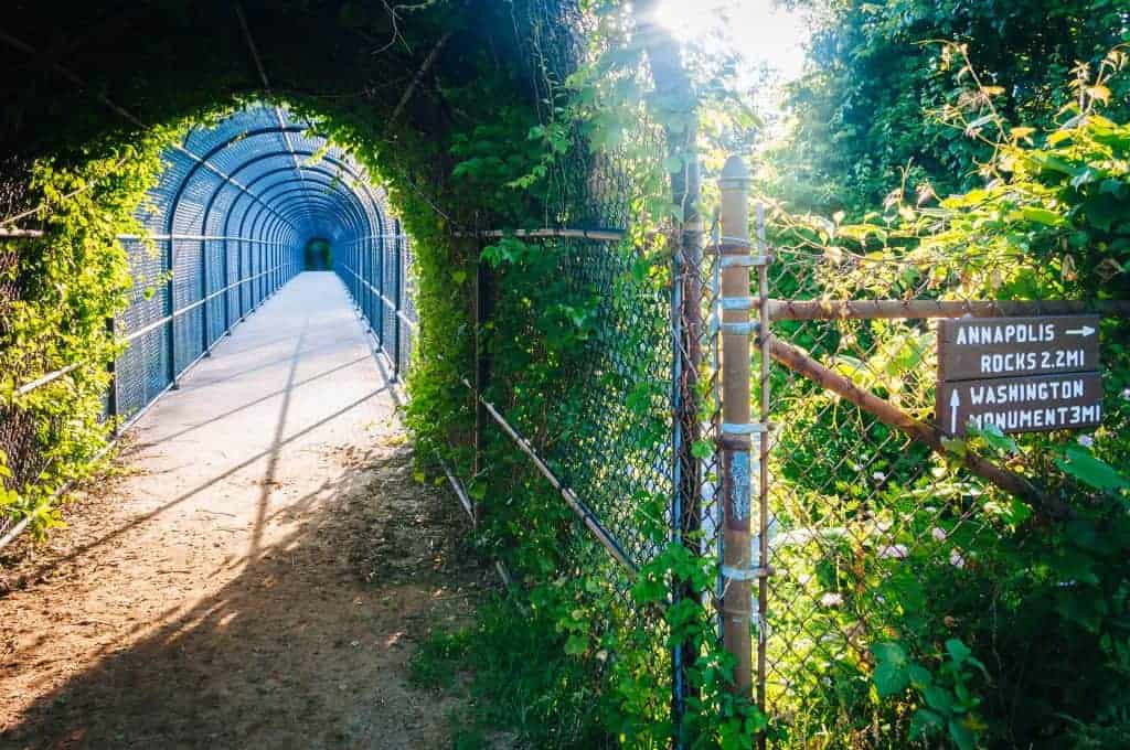 A vine covered chain link footbridge on the Appalachian Trail signed toward Annapolis Rocks in Frederick County