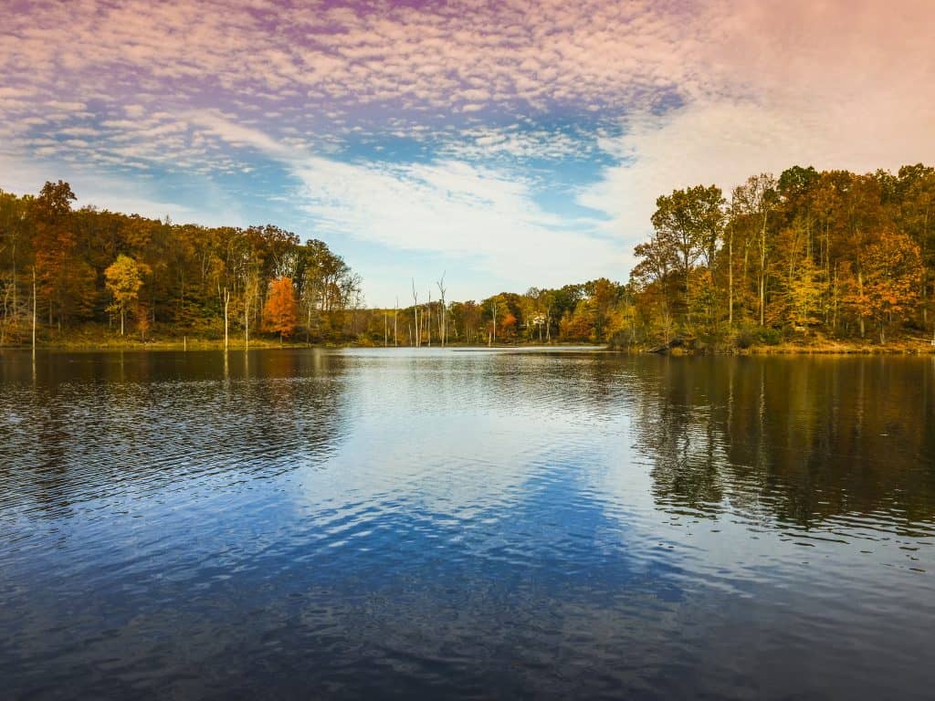 A calm lake ringed by autumn trees at Black Hill Regional Park near Clarksburg, Maryland