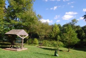 A small lakeside picnic pavilion and grassy shoreline in Greenbelt Park, Maryland