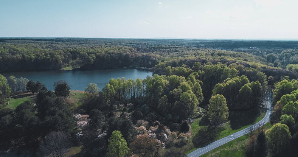Lake and surrounding woodland from above.