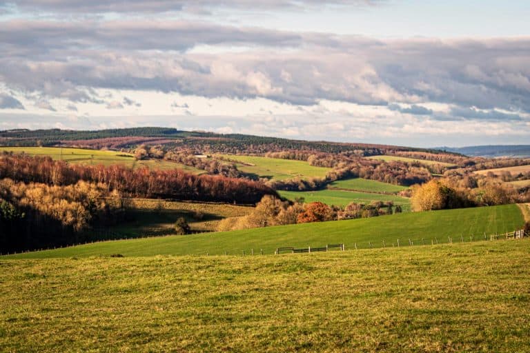 Rolling farm fields and autumn trees under a cloudy sky in the Berkeley County countryside, West Virginia