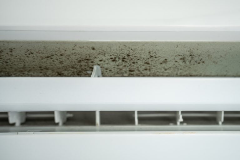 Close-up of mold growing inside an air conditioner vent.