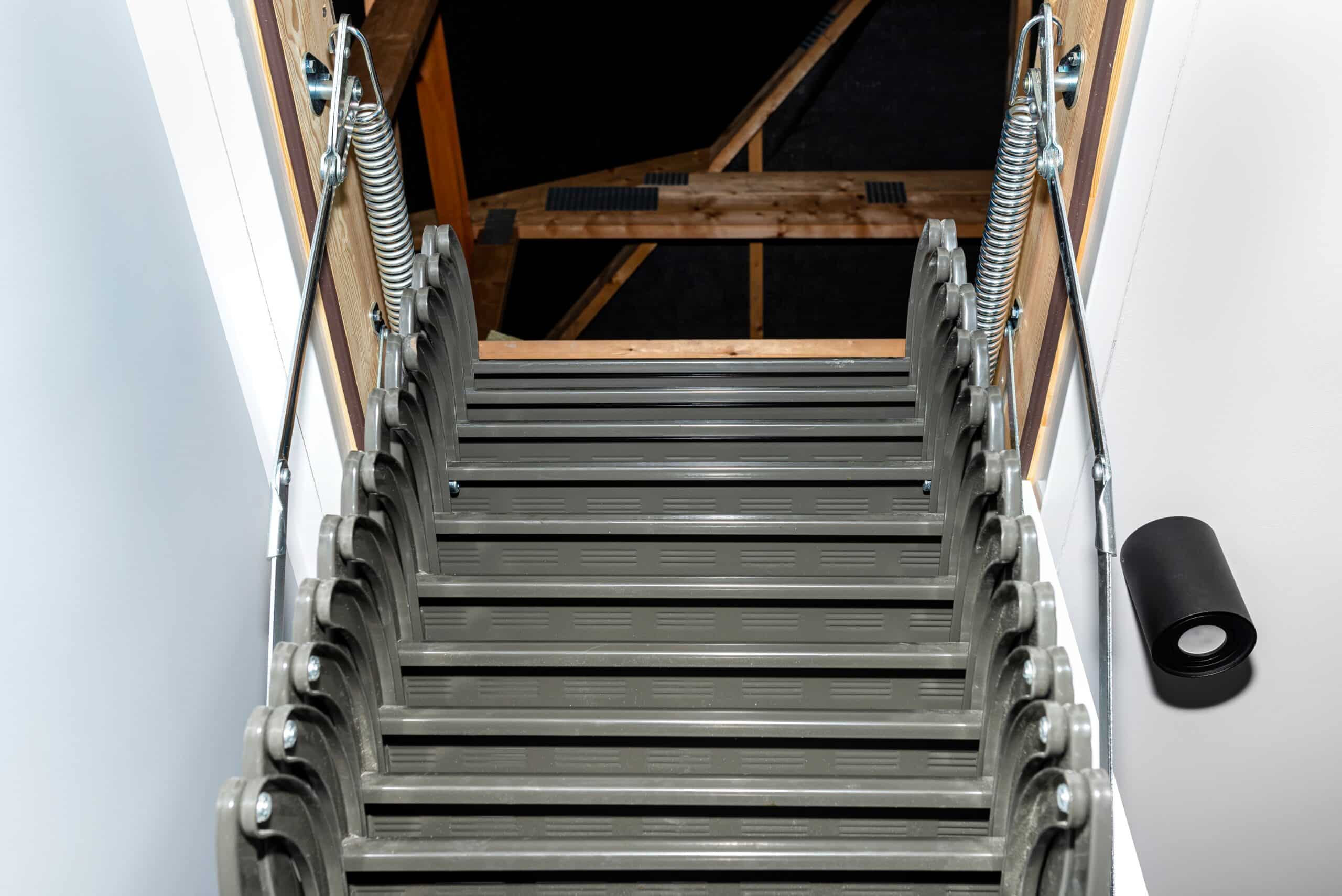Attic mold inspection