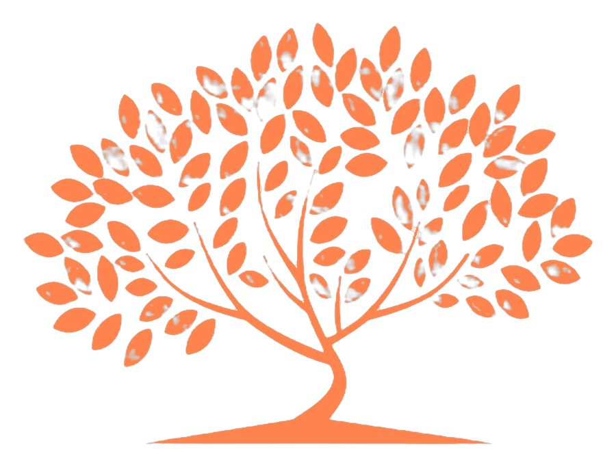 Shelby Women Health