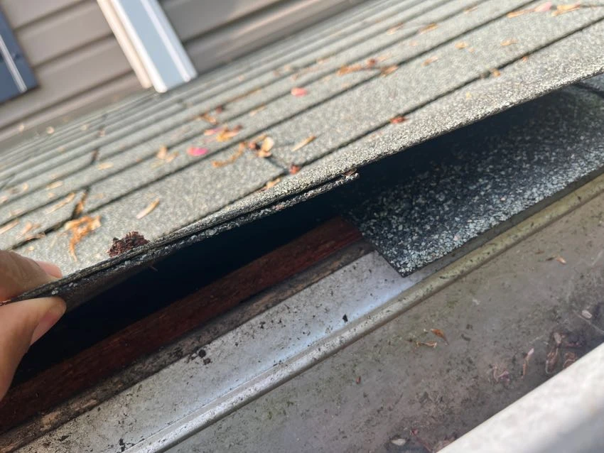 Actual inspection photo showing missing drip-edge flashing beneath the roof shingles