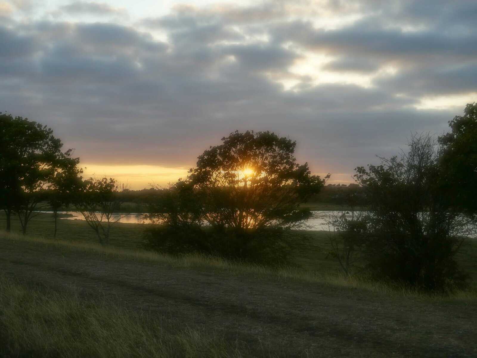 Sunset behind trees and lake, cloudy sky.