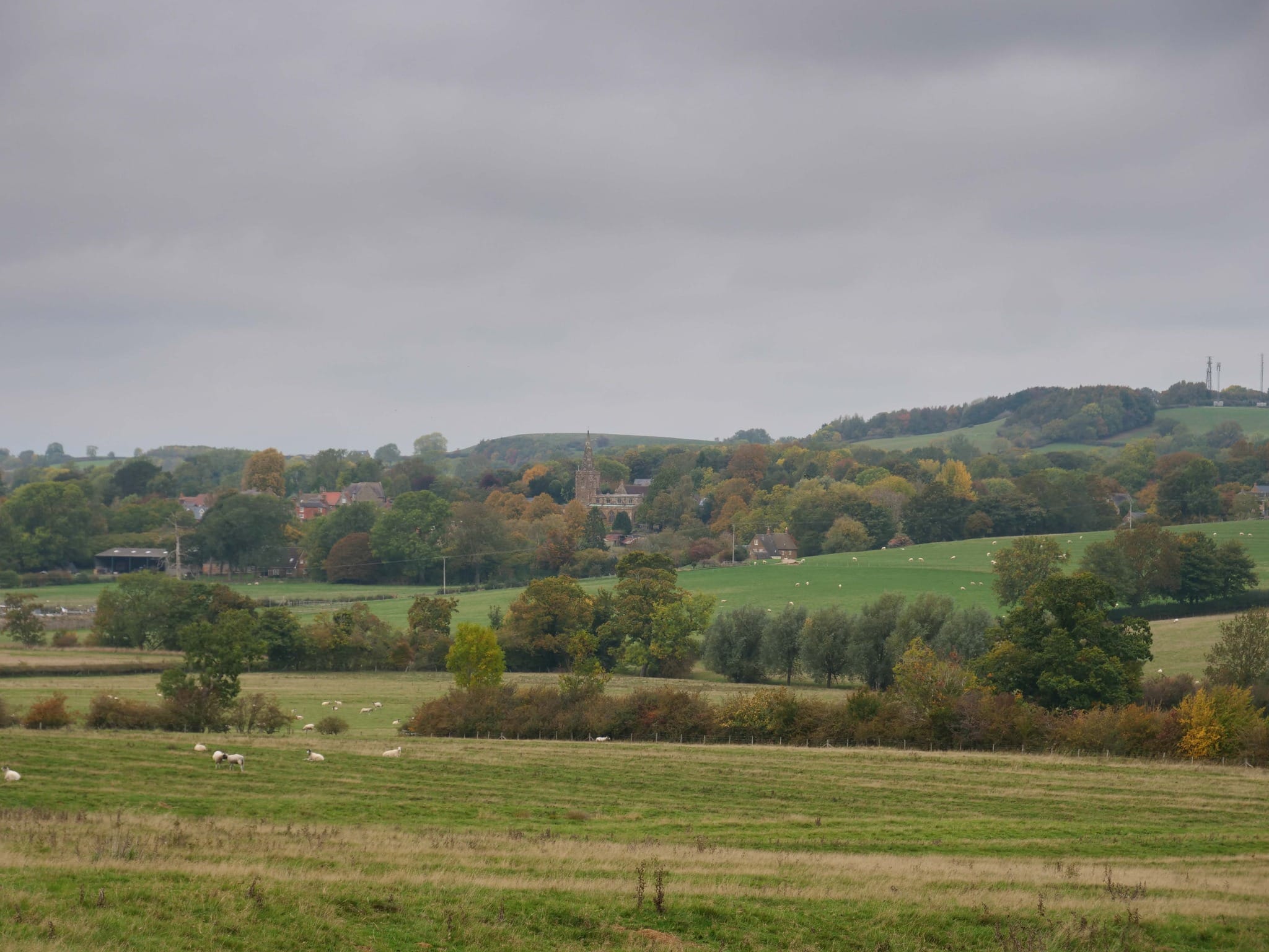 English countryside landscape with sheep and church.
