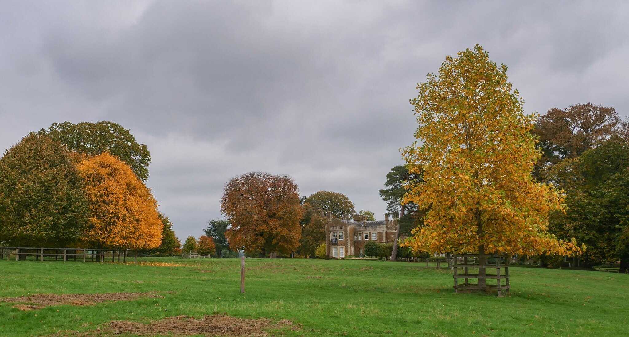 Manor house surrounded by autumn trees and greenery.