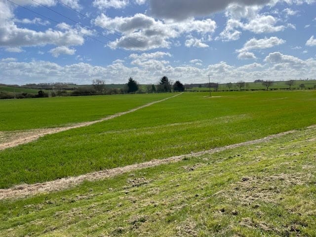 Barnwell 28.3.26 6