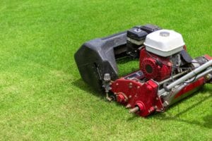 lawn mowing lawn maintenance