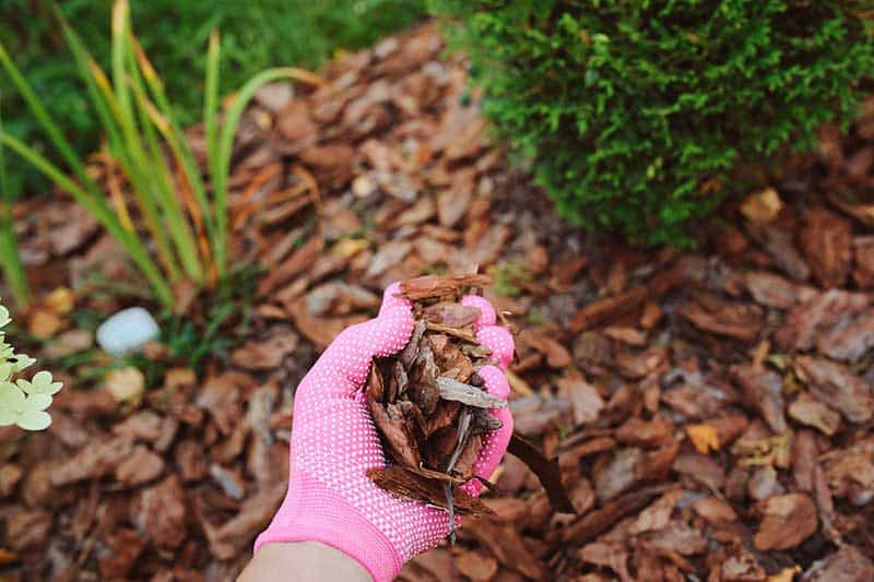 mulch landscaping