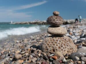 Petoskey-stone-in-Petoskey-Michigan