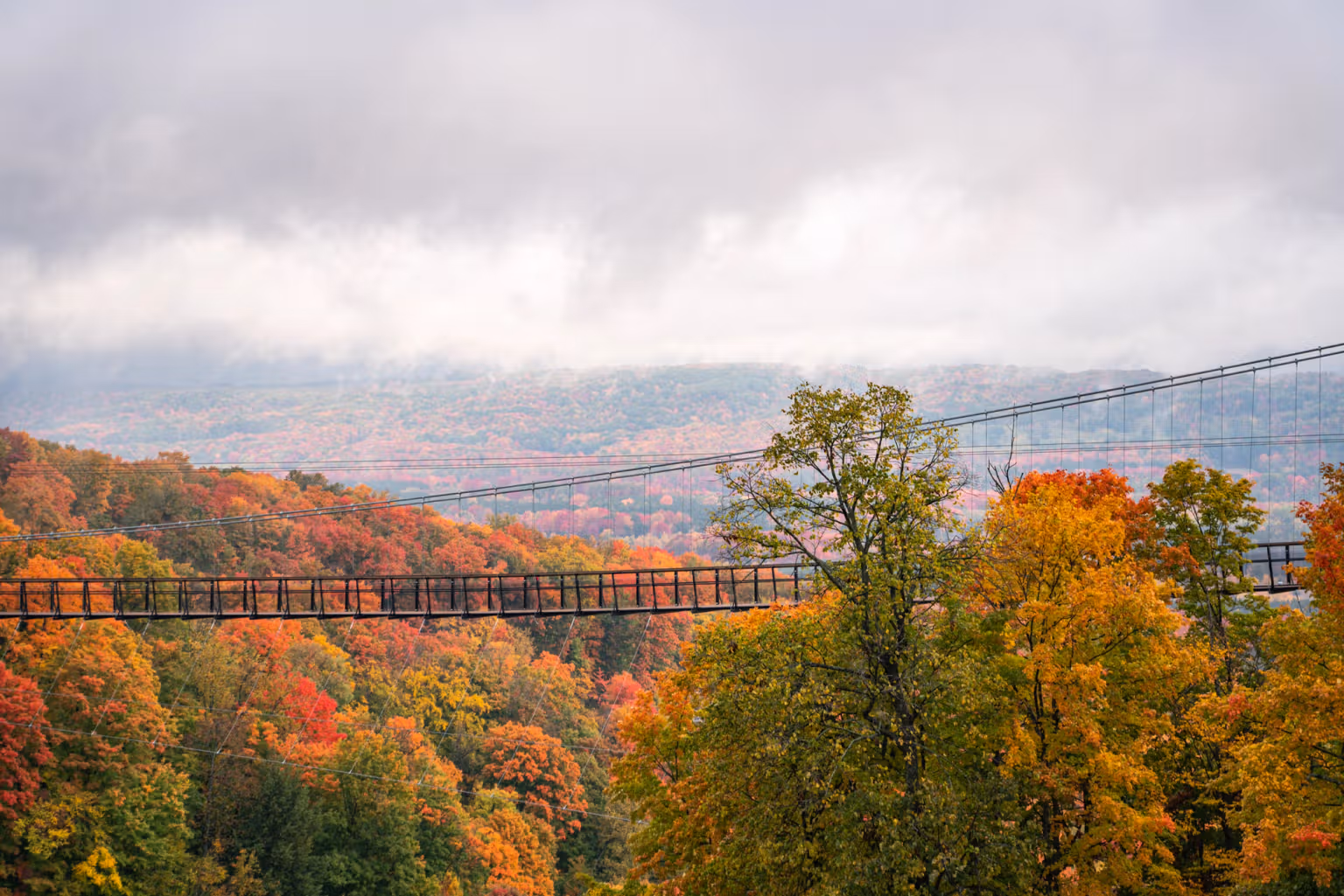 Skybridge-Michigan fall