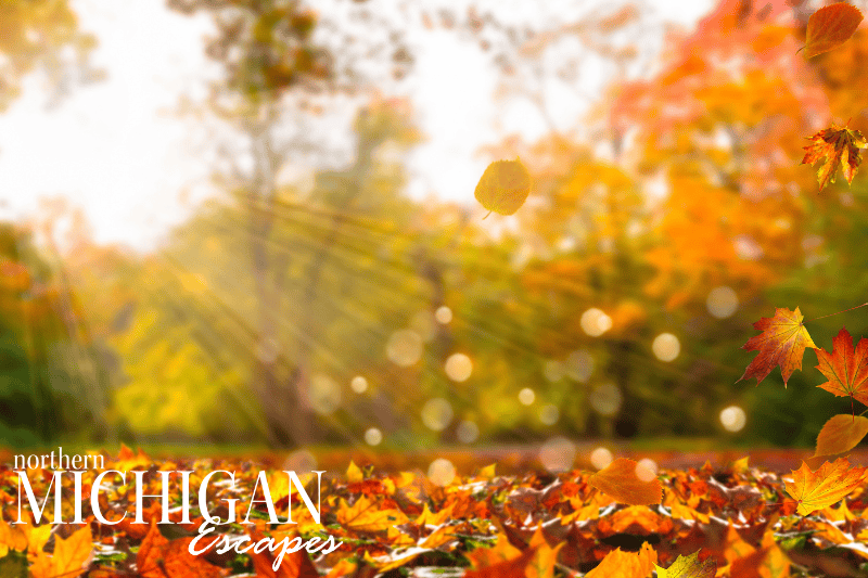 A scenic fall view of Northern Michigan