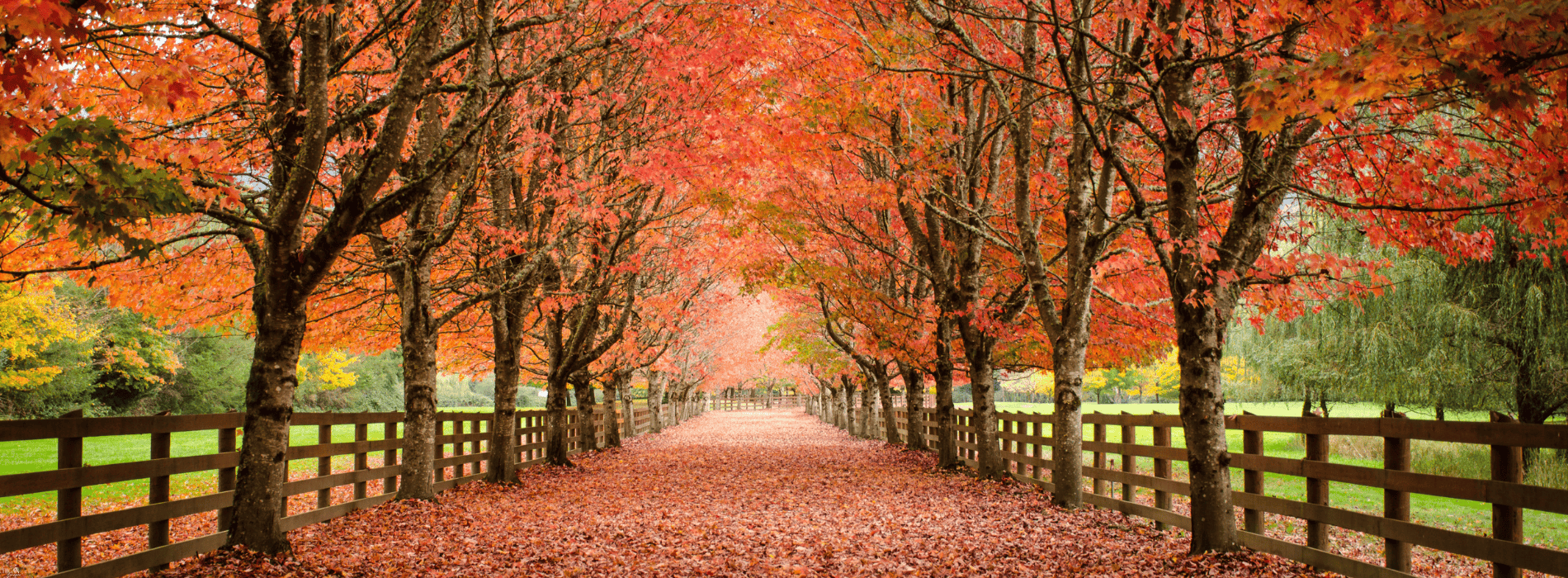 fall vacation