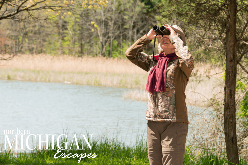 northern-michigan-bird-watching-2