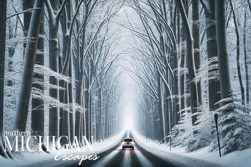 Winter scene tunnel of the trees