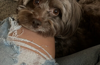Tiffany Galchutt, licensed health insurance agent at North Texas Health Insurance.