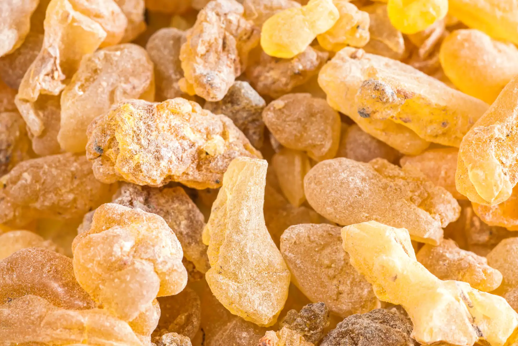 Boswellia botanical ingredient for equine joint health and inflammation