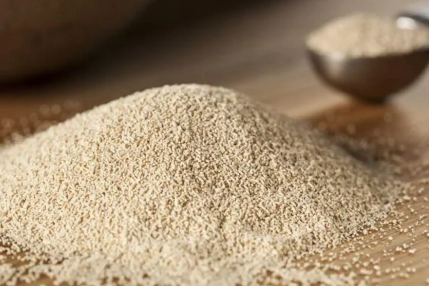 Saccharomyces cerevisiae Yeast Culture botanical ingredient for equine joint health and inflammation