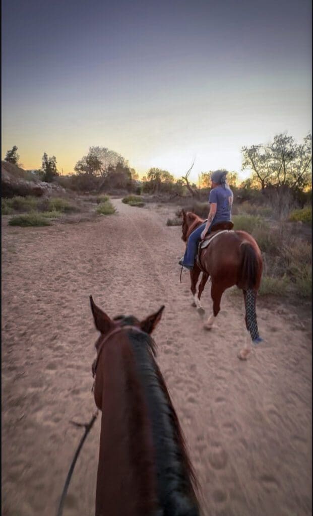Horseback riding in a natural outdoor setting at sunset.