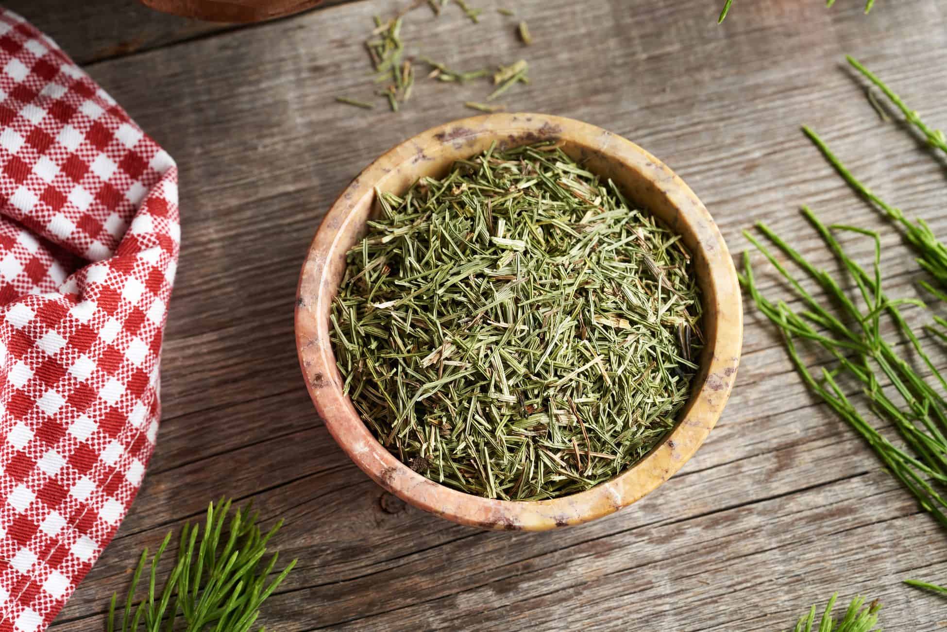 Horsetail Extract botanical ingredient for equine joint health and inflammation