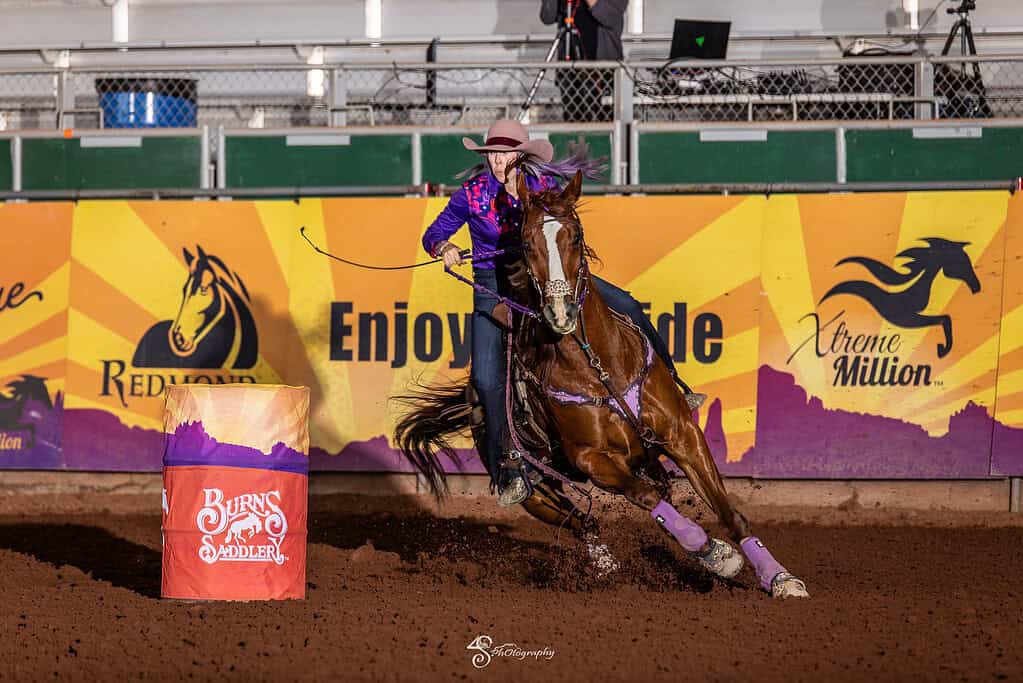 Equine athlete racing around a barrel during a competition, showcasing performance and endurance.