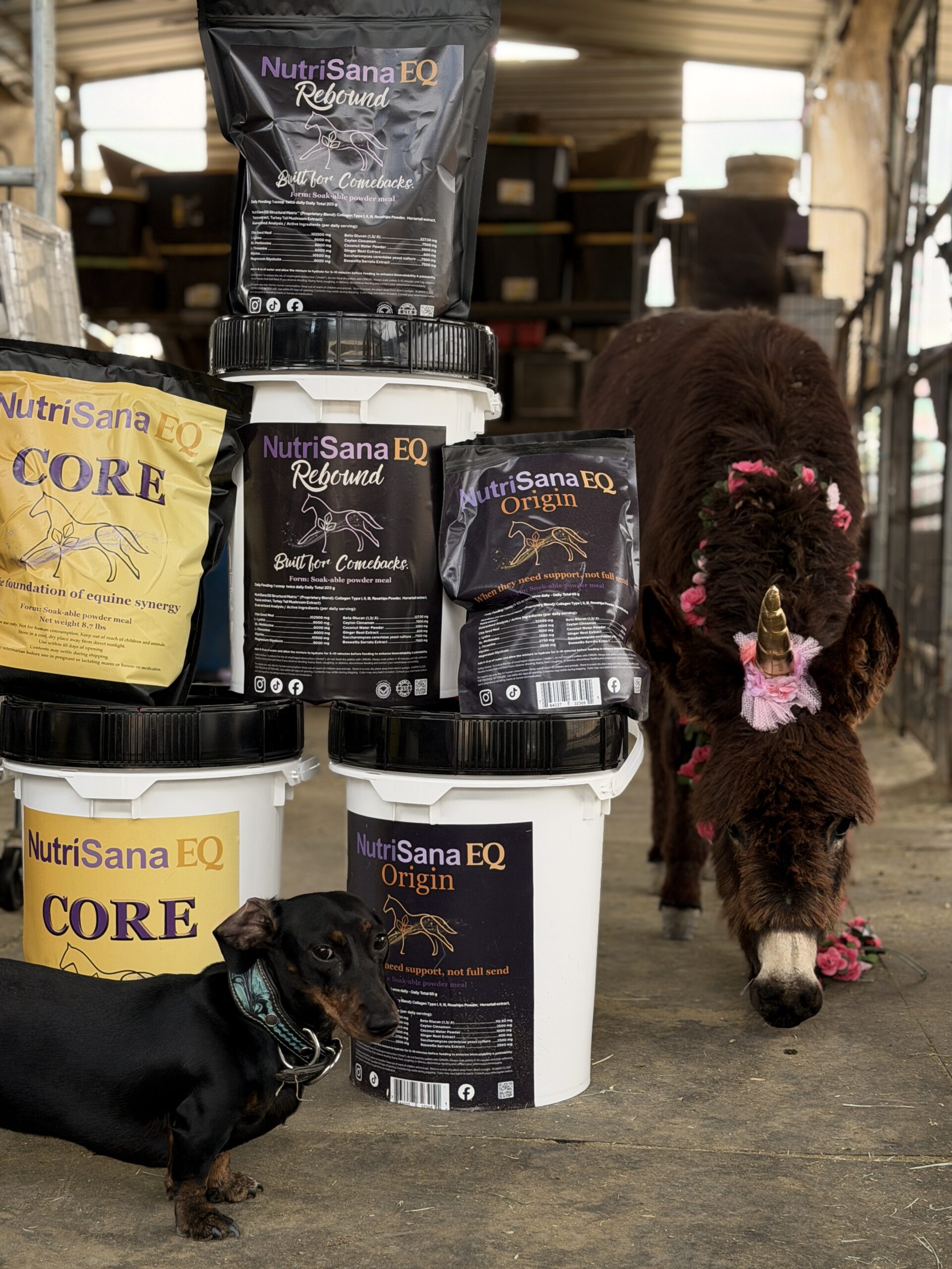 Buckets with dog and floral-adorned pony