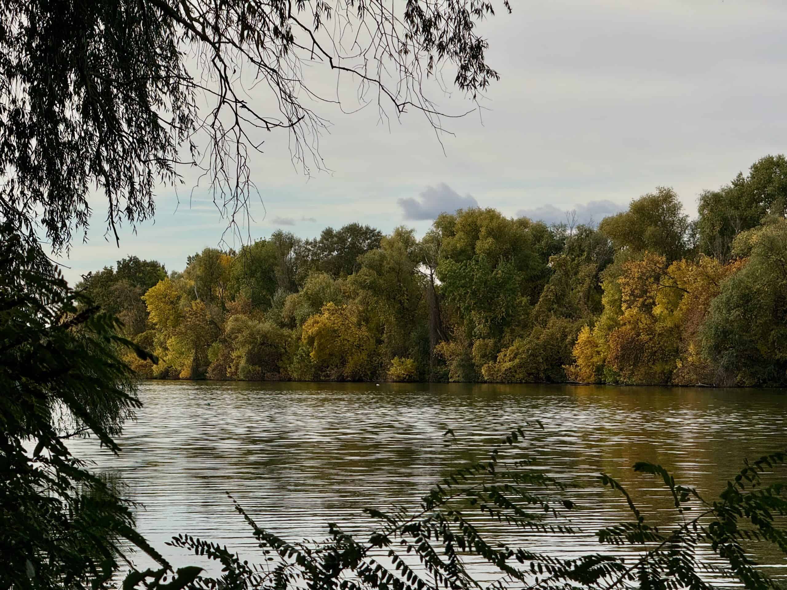 Tisza-Tavi Nyaralósziget ősszel a Tisza-tónál