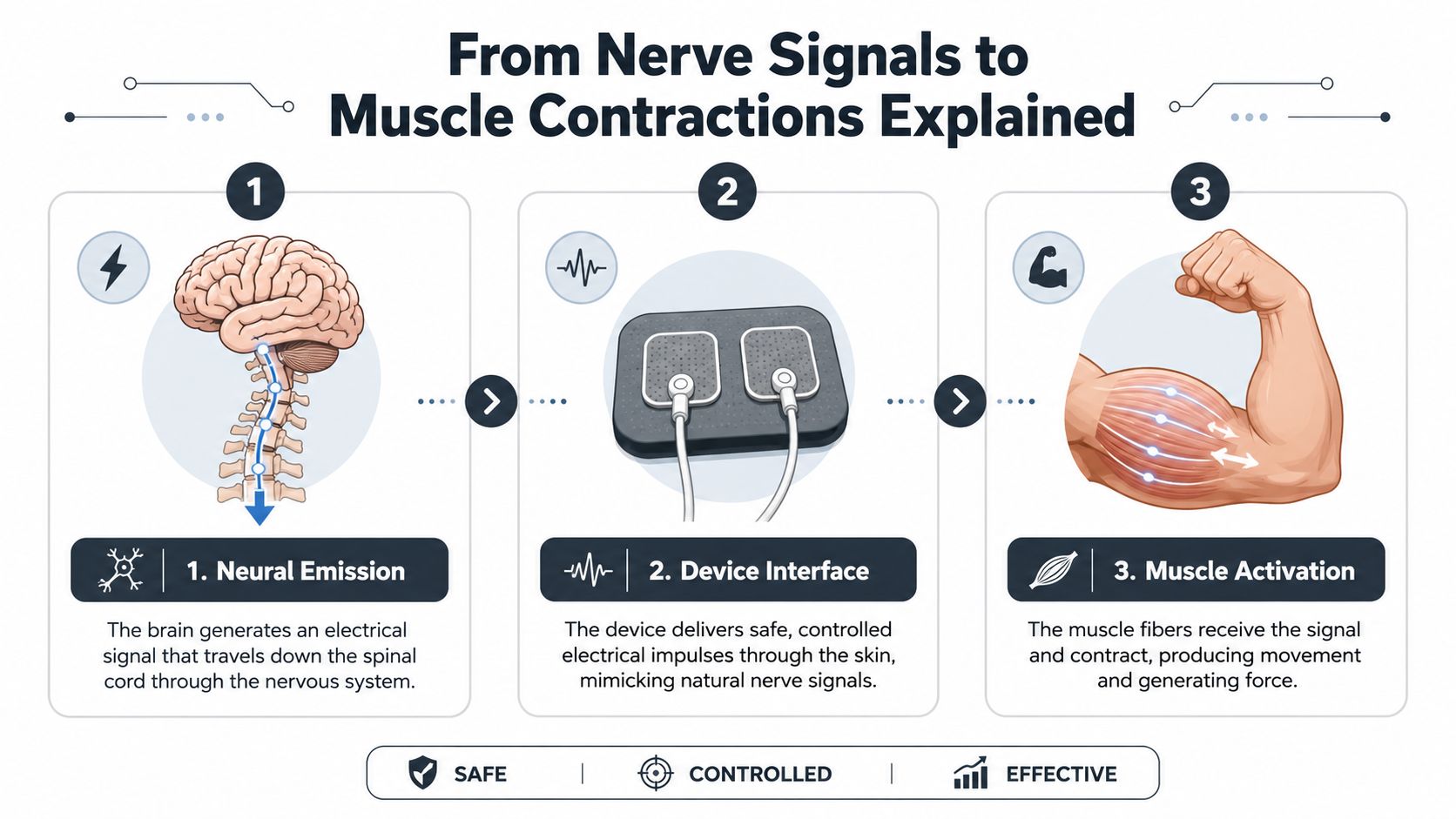 A diagram explaining how muscle stimulator machines work by mimicking nerve signals to cause muscle contractions.