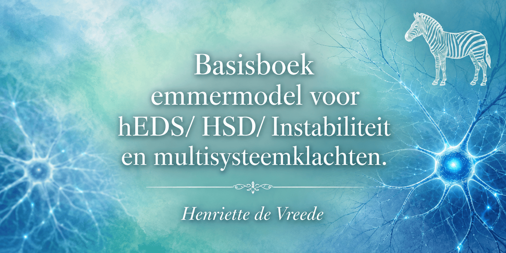 Basisboek voor hEDS, HSD, instabiliteit en multisysteemklachten.