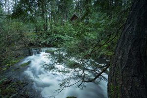 Cabin In The Woods