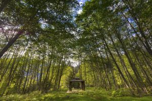 Gazebo At Orchard Drug & Alcohol Recovery Center