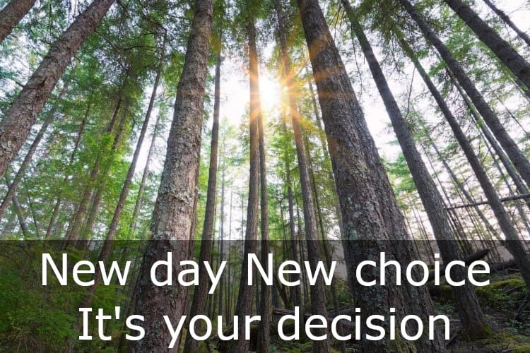 Picture of the sun streaming through trees with superimposed words new day new choice it's your decision