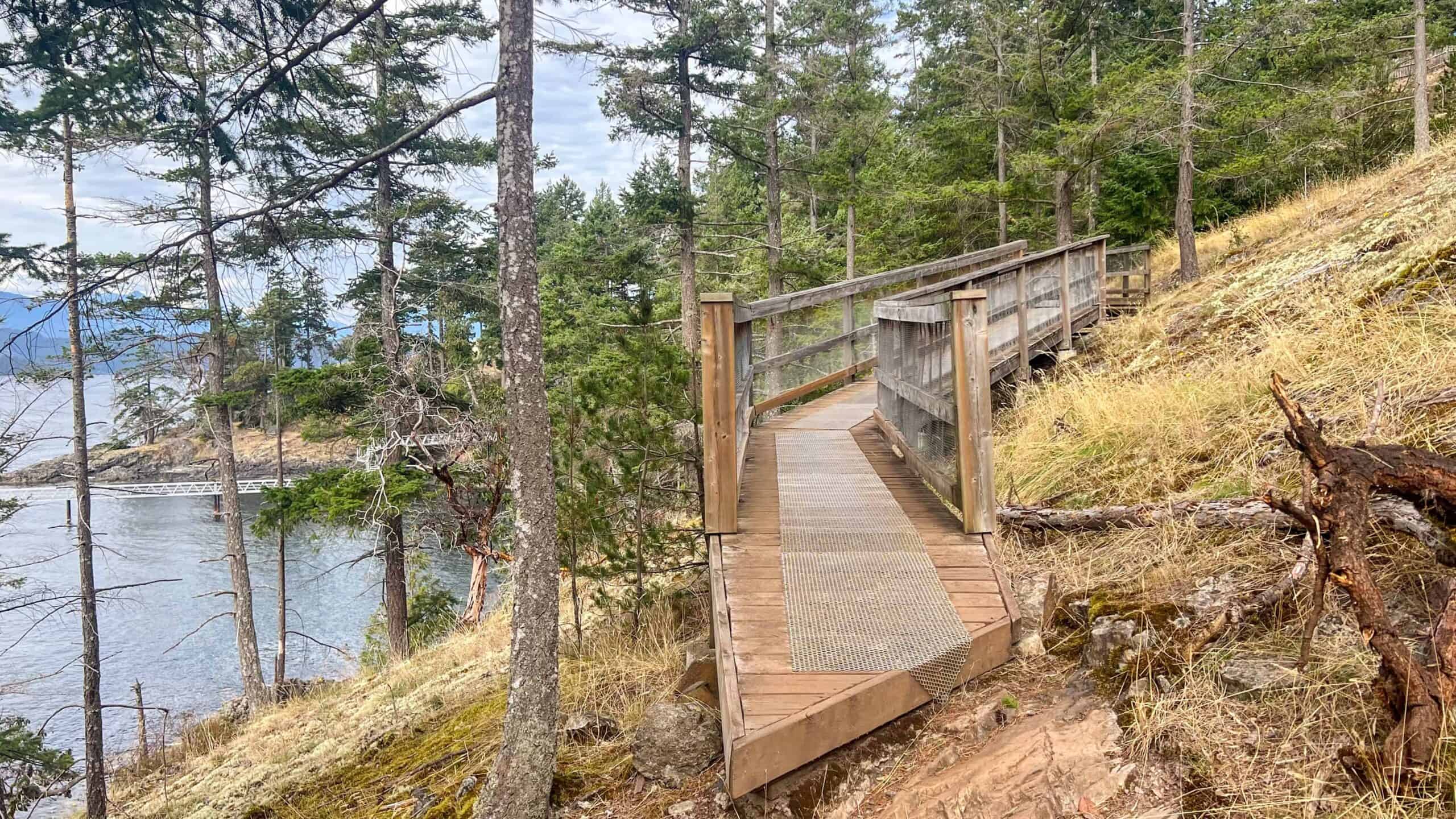Nature Walk - Cape Roger Curtis Walkway