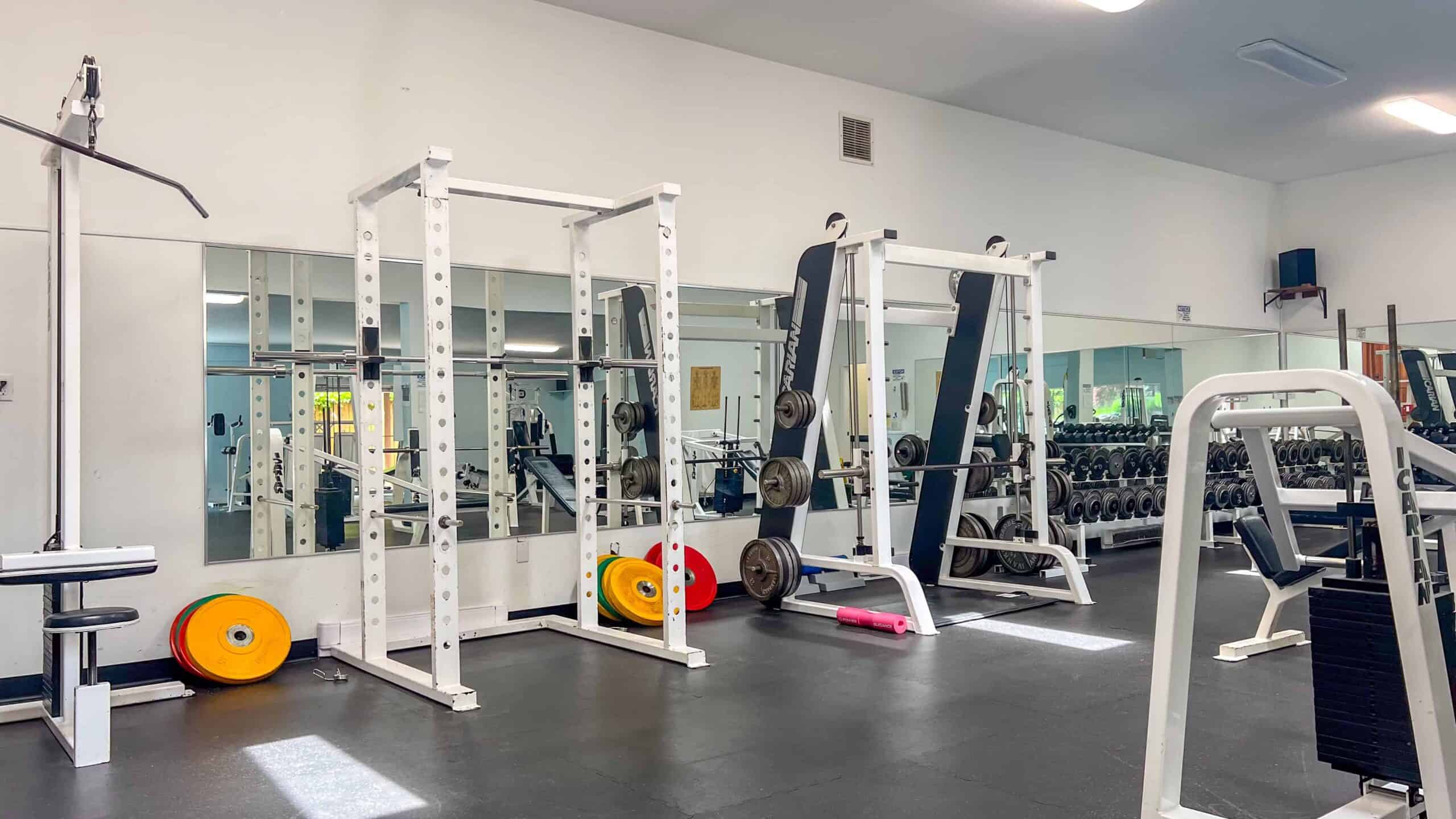 Gym Equipment