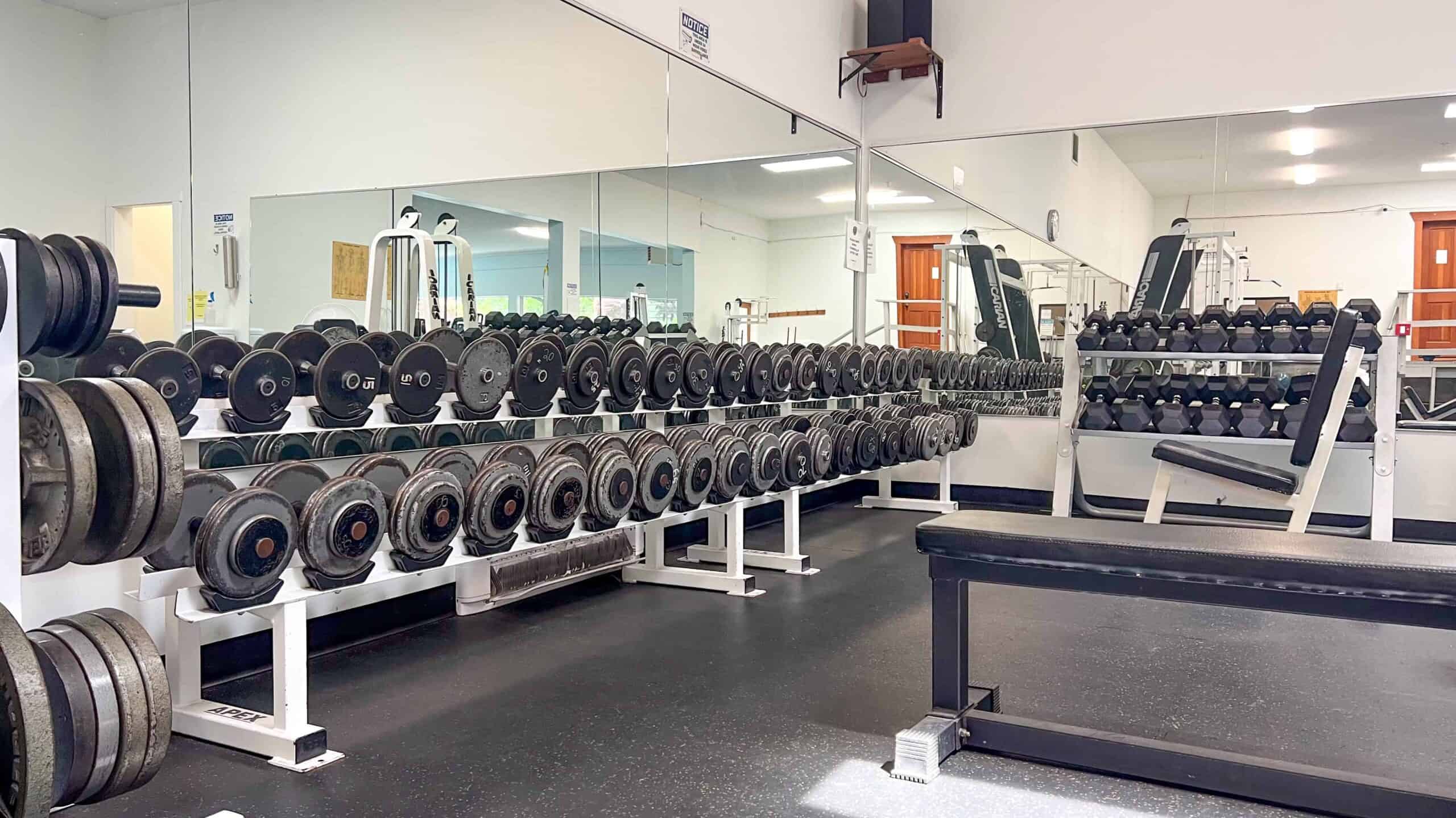 Gym Weights