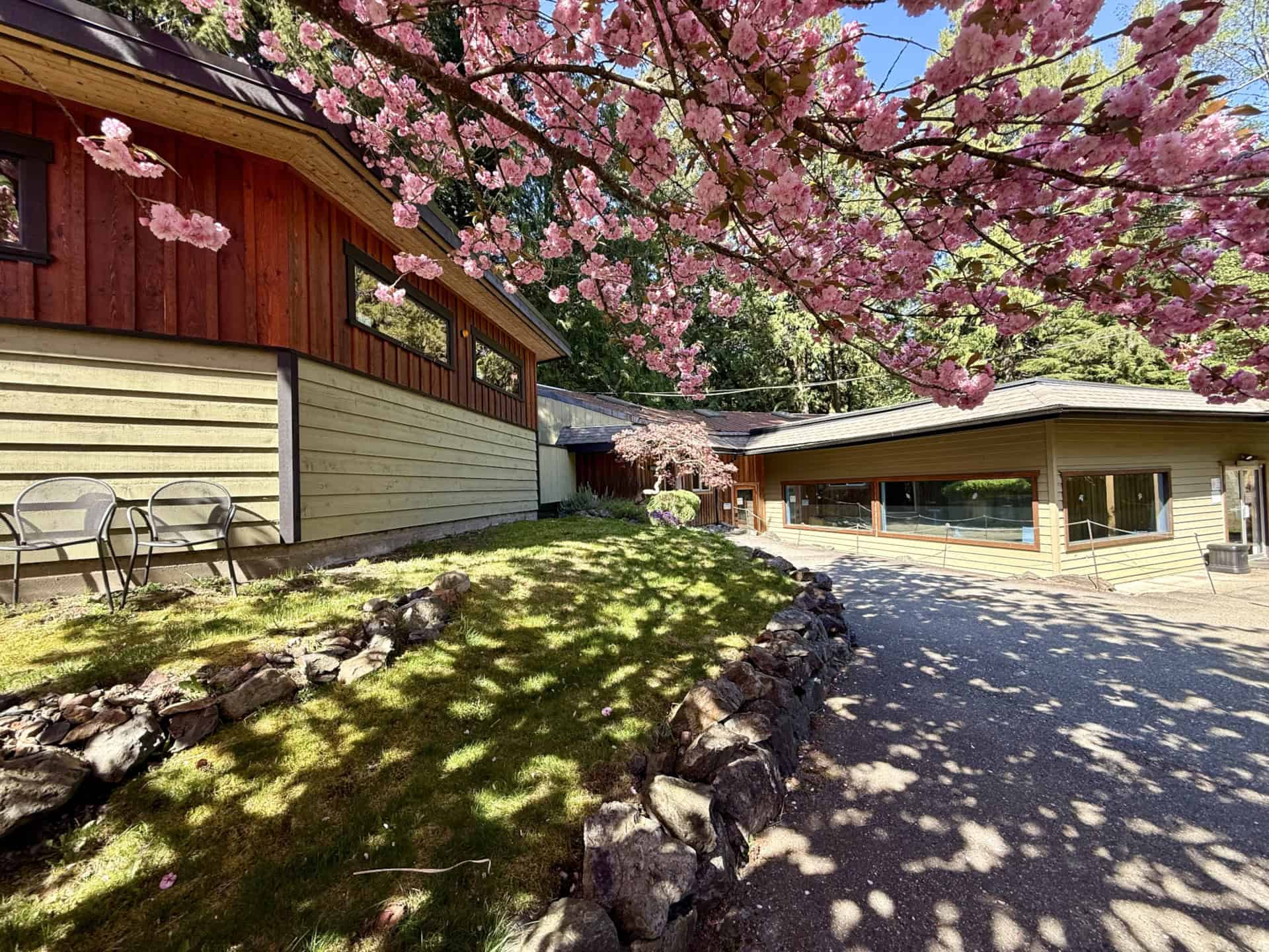 Two wooden buildings with grass in the front lined by a rock wall. A cherry blossom tree provides shade. Orchard Recovery Center Administration.