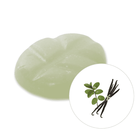 Duftchips - Scentchips  Vanille-Patchouli 8 Stück in Box