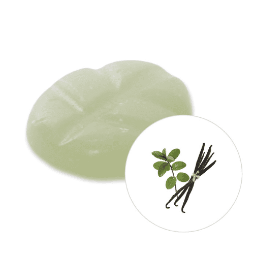 Duftchips - Scentchips  Vanille-Patchouli 8 Stück in Box