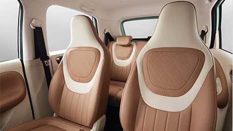 Iconic-Interior-Colors New Binguo EV Pro