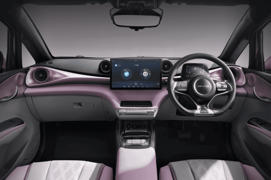 Kenyamanan dan hiburan komprehensif BYD Dolphin