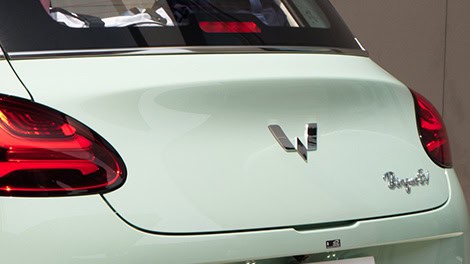 Streamlined Ducktail New Binguo EV