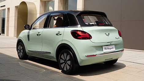 Two-Tone Body Color New Binguo EV