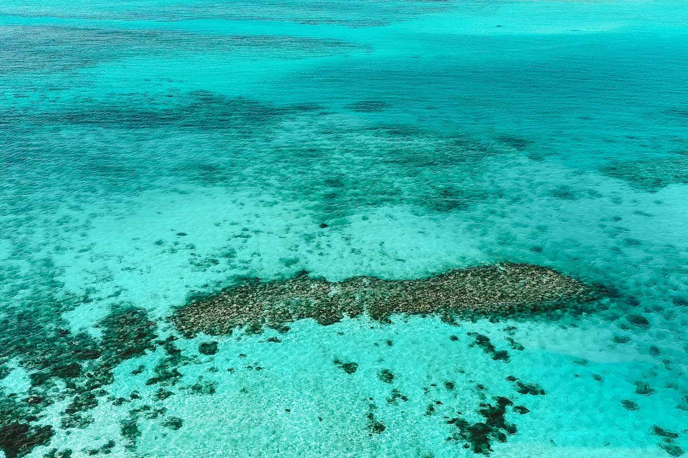 Aerial view of Ningalooo Reef's stunning turquoise blue waters