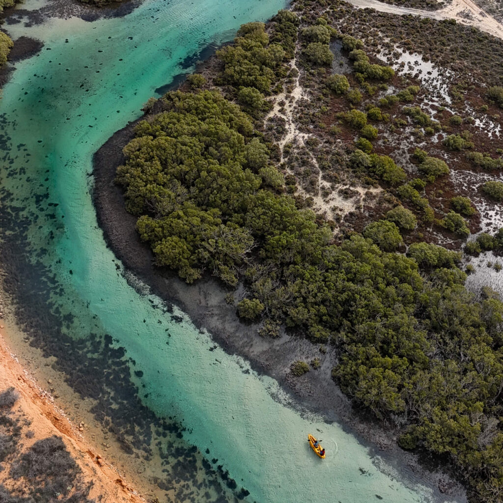 Kayaking in Little Lagoon Creek