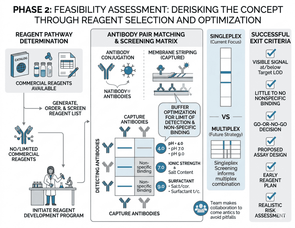 Lateral Flow Assay development process, including phases, feasibility, and key steps for accurate di.