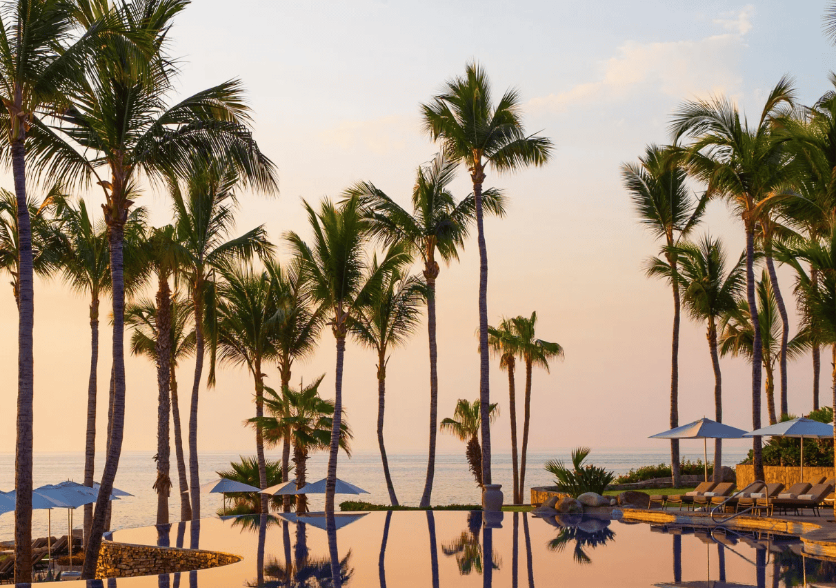 Sunset View From An Oceanfront Infinity Pool Surrounded By Palm Trees In Palmilla Real Estate, Los Cabos
