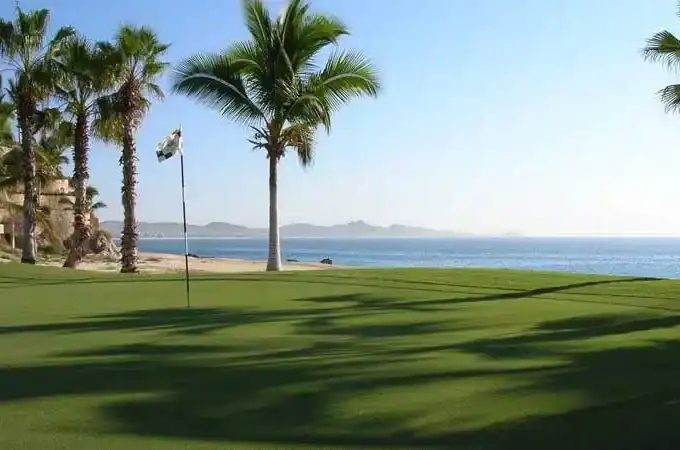 Palmilla Golf Course Los Cabos Oceanfront Green With Palm Trees And Sea Of Cortez Views.