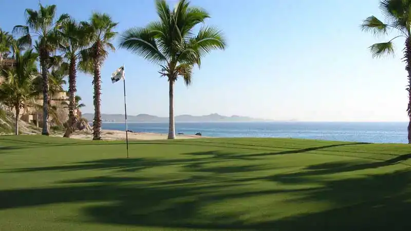 Palmilla Golf Course Homes: Living On The Fairways In Los Cabos – Homes For Sale In Palmilla Palmilla Golf Course Los Cabos Oceanfront Green With Palm Trees And Sea Of Cortez Views.